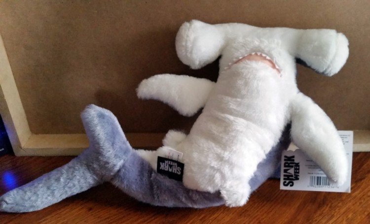 Holiday Gift Ideas for the Shark Fans on Your List #SharkWeek 3