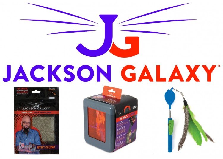 Jackson Galaxy Cat Toy Review and Giveaway #JacksonGalaxyCatPlay 4
