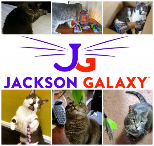 Jackson Galaxy Collection by Petmate Review and Giveaway #JacksonGalaxyCatPlay #Contest