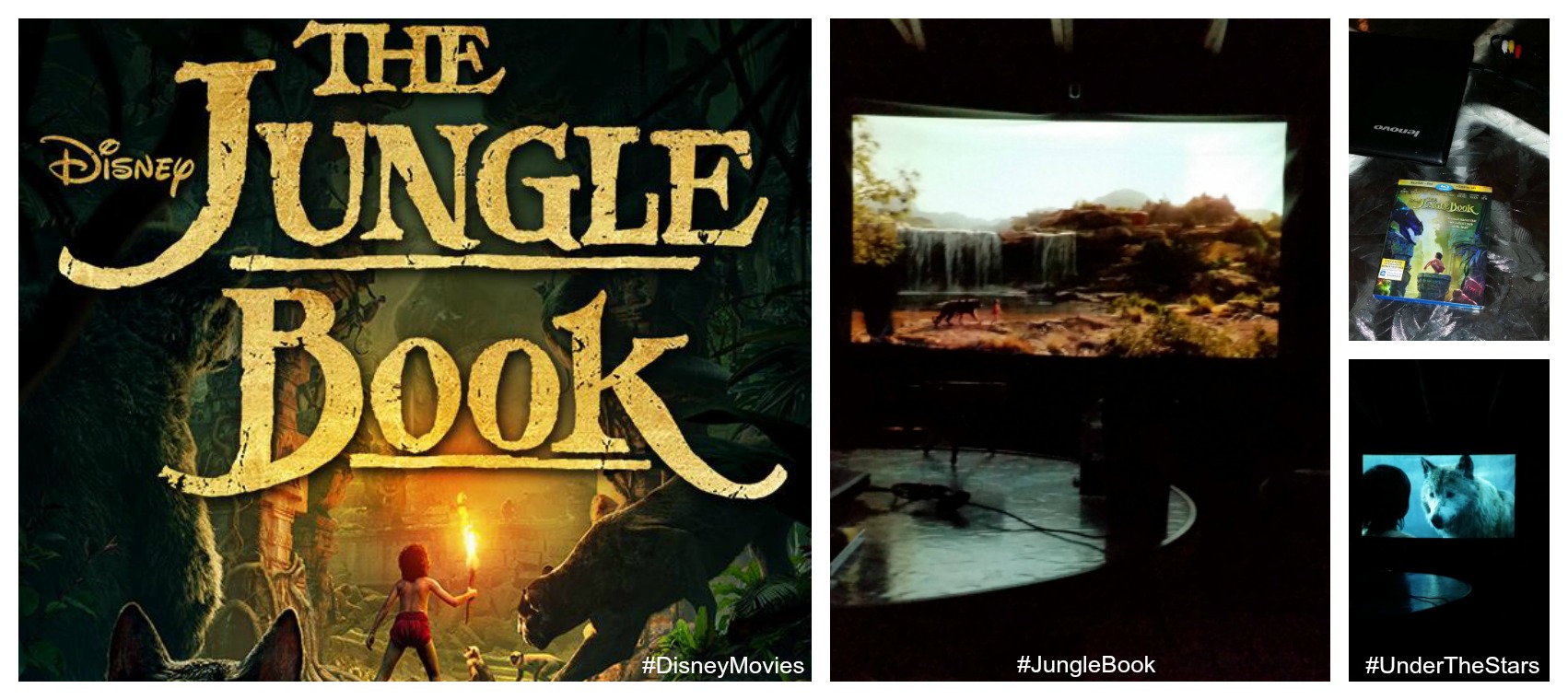 The Jungle Book Outdoor Screening and Fun Activities 11