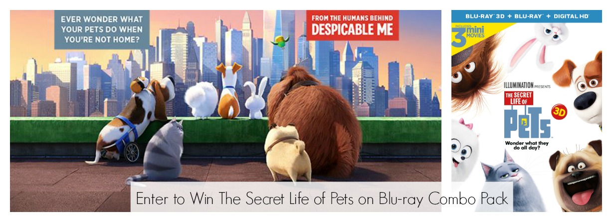 Enter to Win The Secret Life of Pets on Blu-ray Combo Pack #TheSecretLifeofPets (12/14 US)