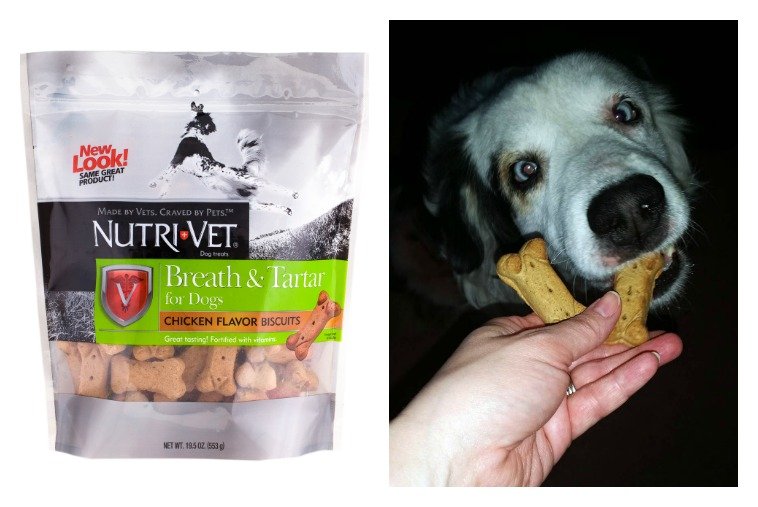 Freshen Your Pets Breath with Nutri-Vet Breath & Tartar Biscuits for Dogs #Giveaway #NutriVet 1