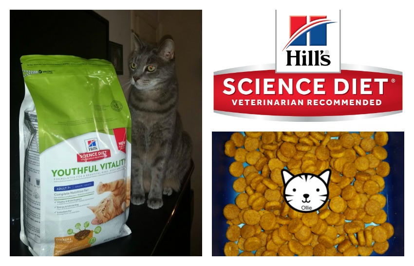 ollie loves new hills science diet youthful vitality awesomeasever ad