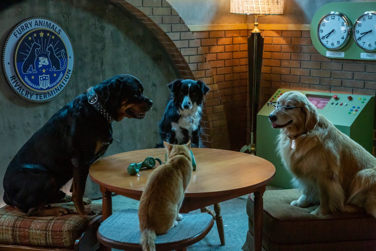Cats & Dogs 3 Paws Unite! on Digital September 15 FSM Media