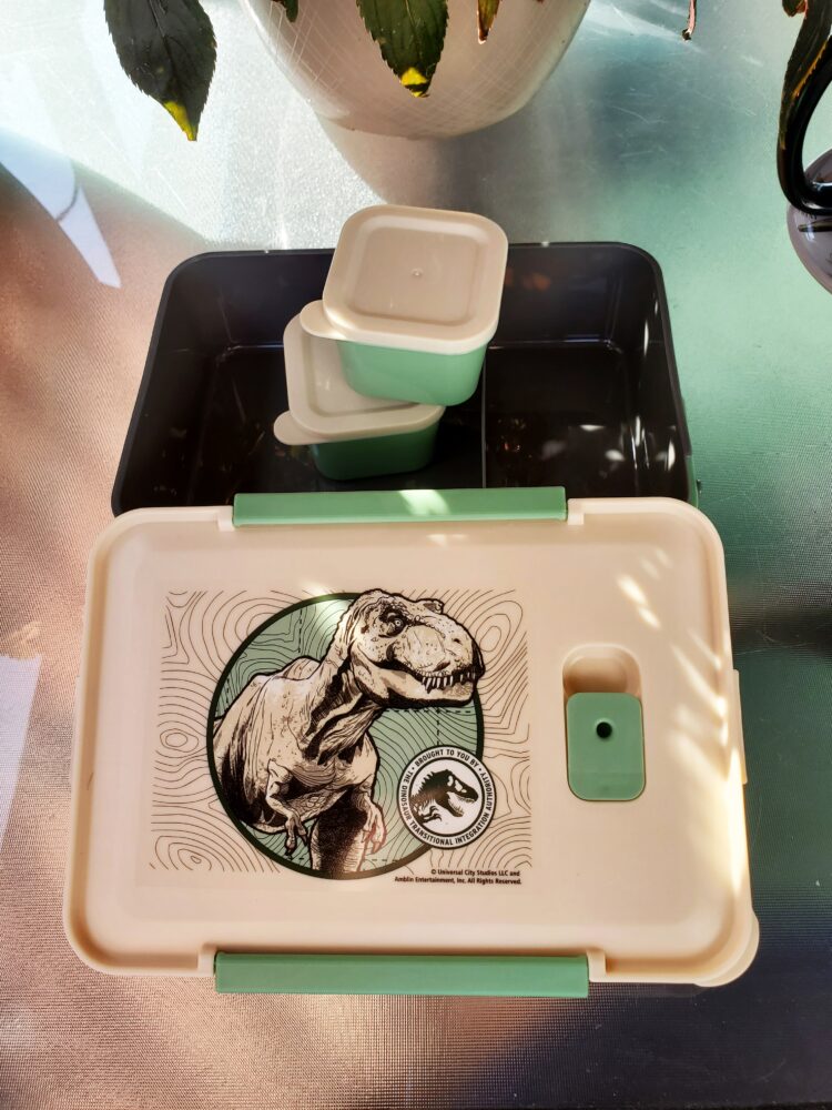Zak Designs Jurassic World Dominion Reusable Plastic Bento Box with  Leak-Proof Seal, Carrying Handle, Microwave Steam Vent, and Individual  Containers
